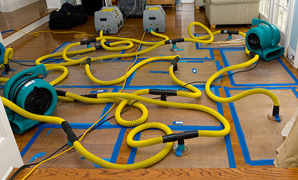 Professional Basement Flood Cleanup technician working in Luling, TX